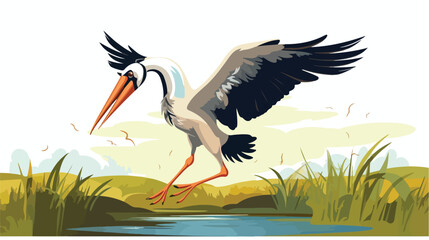 Maguari Stork taking off from the field 2d flat cartoon