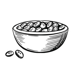 hand drawn in a bowl of vector ink, nuts engraved, vintage style drawing. open pistachios, shells and a bunch of nuts on a plate. healthy snack for beer