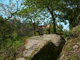 Fototapeta na wymiar Wooden bench next to a tree in an idyllic landscape