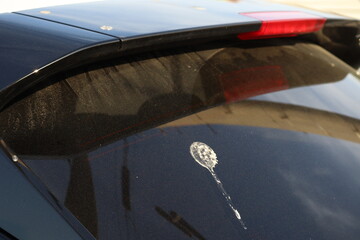 自動車のリアガラスに付着した鳥の糞 © umaruchan4678
