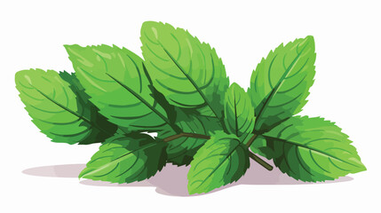 Mint leaf vector illustration. Drawing of mint leaf - obrazy, fototapety, plakaty