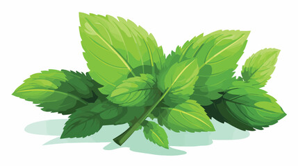 Mint leaf vector illustration. Drawing of mint leaf - obrazy, fototapety, plakaty