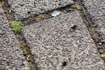 City details, exploring the capital of Iceland, Reykjavik on foot in beautiful summer day