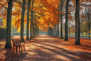  Rows of tree with a path and a sitting bench, Autumn park alley around the world © Pixel Vest