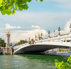 View of Pont Alexandre III in Paris - 784462571