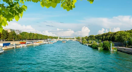 Papier Peint photo autocollant Pont Alexandre III Wide river Seine in Paris