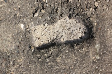 footprint in the mud