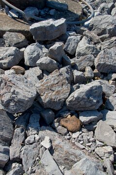 Limestone rocks and a steel cable