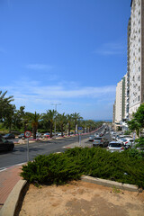 View of the city of Ashkelon, Israel. Highway, palm alley, sea view in the background