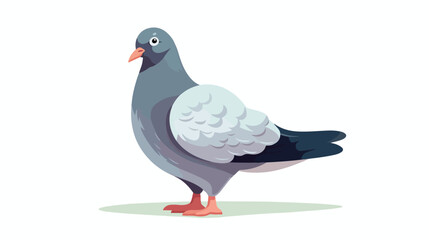 Pigeon 2d flat cartoon vactor illustration isolated