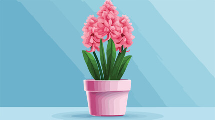Pink hyacinth flower in a pot on a blue background