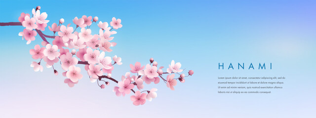 Sakura wallpaper or web banner design template. Vector illustration of realistic blossoming sakura flowers on blue sky background. Vector illustration