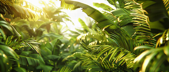 Lush Tropical Foliage with Sunlight Filtering Through, Dense Jungle Scene, Rich Green Environment
