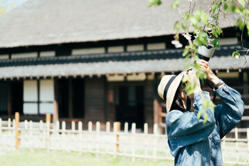 Naklejka premium 春の花を撮影する女性