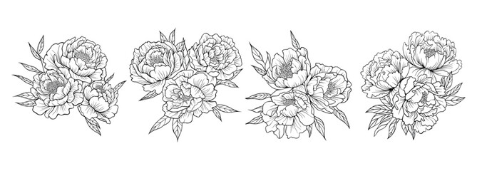 Vector bouquet of peonies. Hand graphics, hand drawn peonies