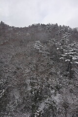 Awesome Beautiful Snow Mountain