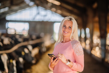 Valmiera, Latvia - August 17, 2024 - A smiling blonde woman is holding a smartphone in a barn with...