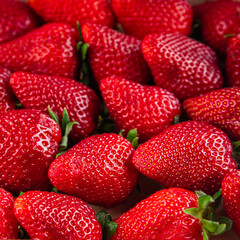 strawberry fresh ripe red berries Cooking appetizer meal food snack on the table copy space food background rustic top view