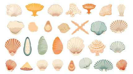 Seashell collection isolated on white background. .