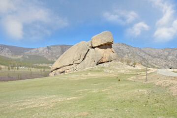 “Turtle Rock ”  -  rock formation in The Gorkhi Terelj National Park, Mongolia