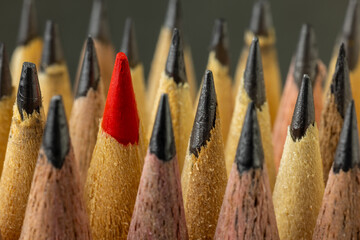 A Red Pencil Standing Out Amongst Black Pencils