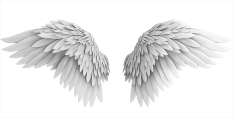 Realistic white angel wings isolated