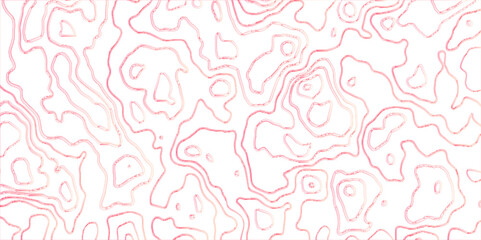 topographic contours map background with geometric lines, Geographic mountain contours vector abstract background, Blank Detailed Topographic Contour Map.	