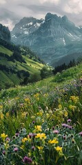 Mountain, Alpine Meadows: Picturesque meadows found at higher altitudes, often with wildflowers. Close Up. 