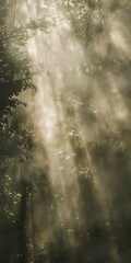 Forest mist at dawn, close up, sunbeams filtering through, ethereal 