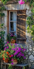Wooden shutters on village home, close up, vibrant flowers, dawn light 