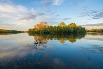 spring trees reflected in water