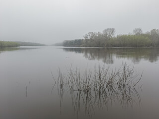 morning on the river