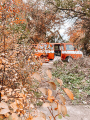 Retro minivan stands against the background of autumn leaves. Stop for a picnic.
