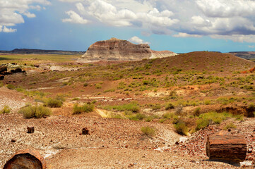Alien Landscape Petrified Forest National Park Arizona - 784506787