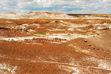 Alien Landscape Petrified Forest National Park Arizona - 784507331