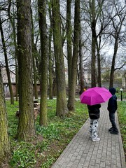 Travelers stand on the park path with a purple umbrella near the trunks of fir trees in the natural park in early spring, embodying the concept of caring for nature and the environment and its preserv