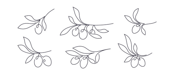 Olive in continuous line. Vector hand drawn branch