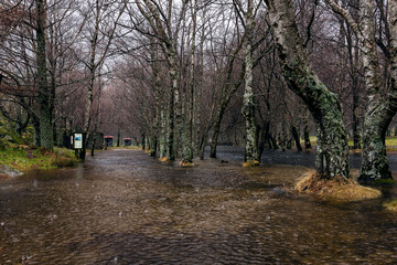 A park flooded with water in a rainy day, Serra da Estrela, Portugal