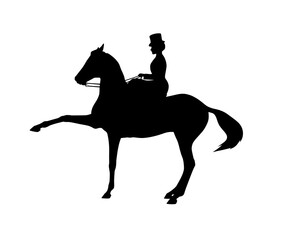 Trained horse and rider. The Spanish step. Silhouette on a white background