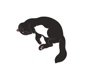 Drawing of a sleeping cute cat, art of a black fat cat.