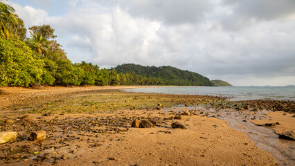 A tropical beach covered with seaweed covered rocks and stones and a small stream, with tropical rainforest reaching to the beach at Mission Beach in tropical Queensland, Australia.
