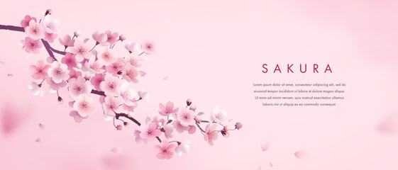 Sakura wallpaper or web banner design template. Vector illustration of realistic blossoming sakura flowers on pink watercolor background. Vector illustration
