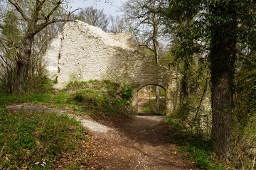 Fototapeta na wymiar Ruine Hohengerhausen (Rusenschloss) bei Blaubeuren im Alb-Donau-Kreis
