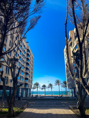 Obraz premium park country