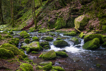 German Nature Black Forest Zavelstein Bad Teinach Germany