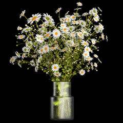 Small bouquet of wildflowers daisies chamomile isolated on black background
