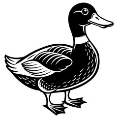 A duck isolated on white background logo icon vector illustration.
