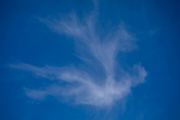 Fototapeta na wymiar White clouds under blue sky background