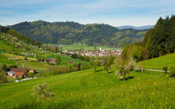 Landschaft bei Gemeinde Biberach im Ortenaukreis (Schwarzwald)
