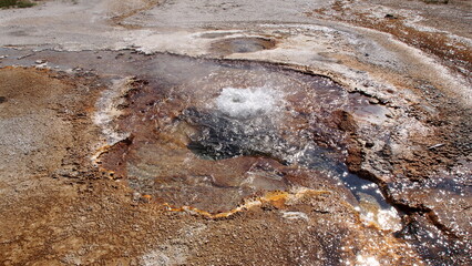 イエローストーン